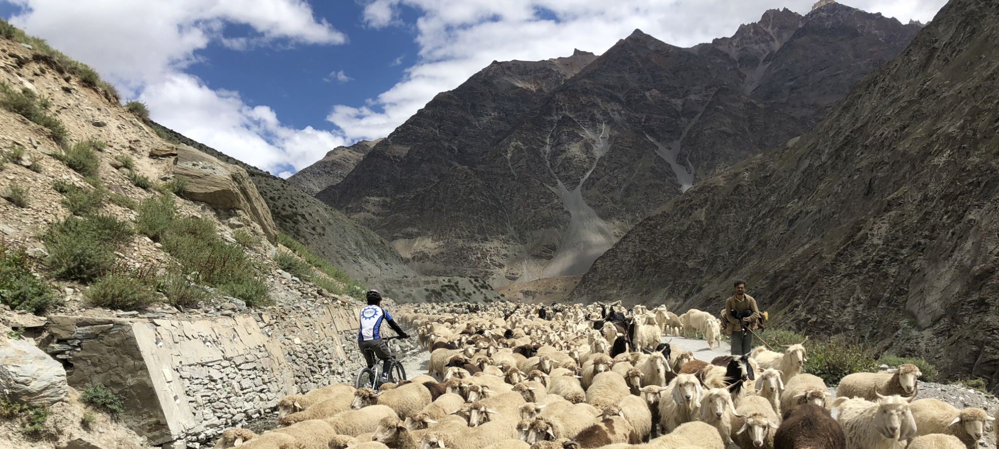 Cycling Holidays India Himalaya